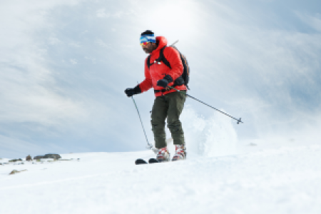 Tiptoe through the Tulips of Washington