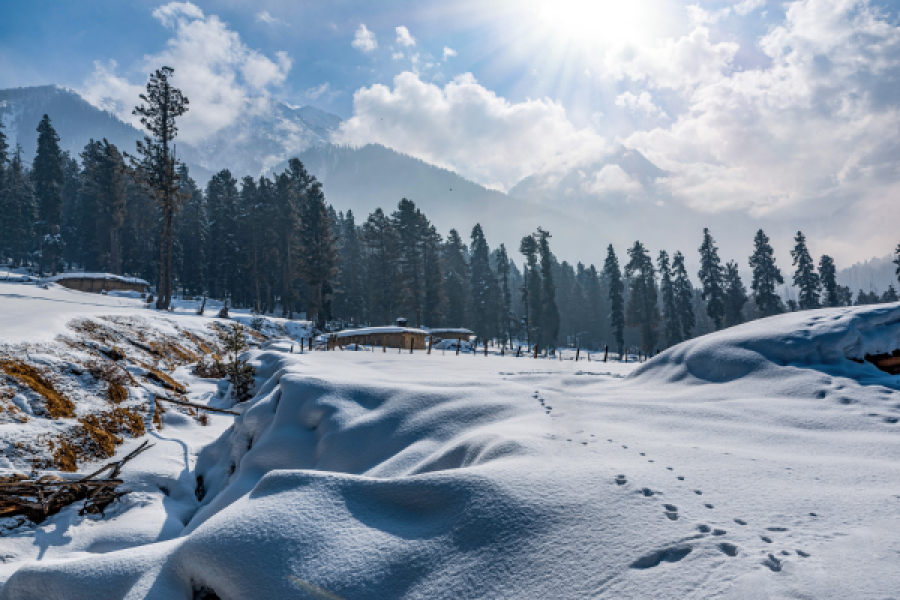 Kashmir Package: 04 Nights 05 Days
